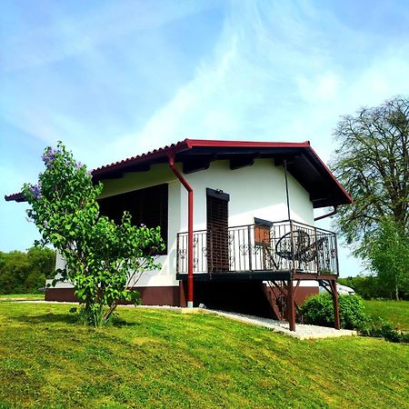 Apartma Kapelski Fant Sveti Jurij ob Scavnici Dış mekan fotoğraf